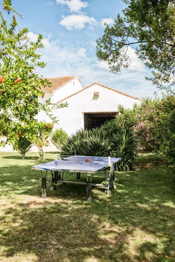 Bed and Breakfast Mas De Bouvet En Camargue Albaron Экстерьер фото