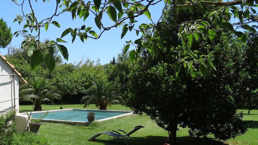 Bed and Breakfast Mas De Bouvet En Camargue Albaron Экстерьер фото