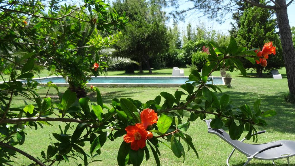 Bed and Breakfast Mas De Bouvet En Camargue Albaron Экстерьер фото