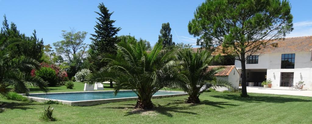 Bed and Breakfast Mas De Bouvet En Camargue Albaron Экстерьер фото