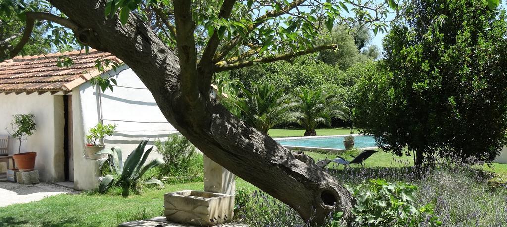 Bed and Breakfast Mas De Bouvet En Camargue Albaron Экстерьер фото