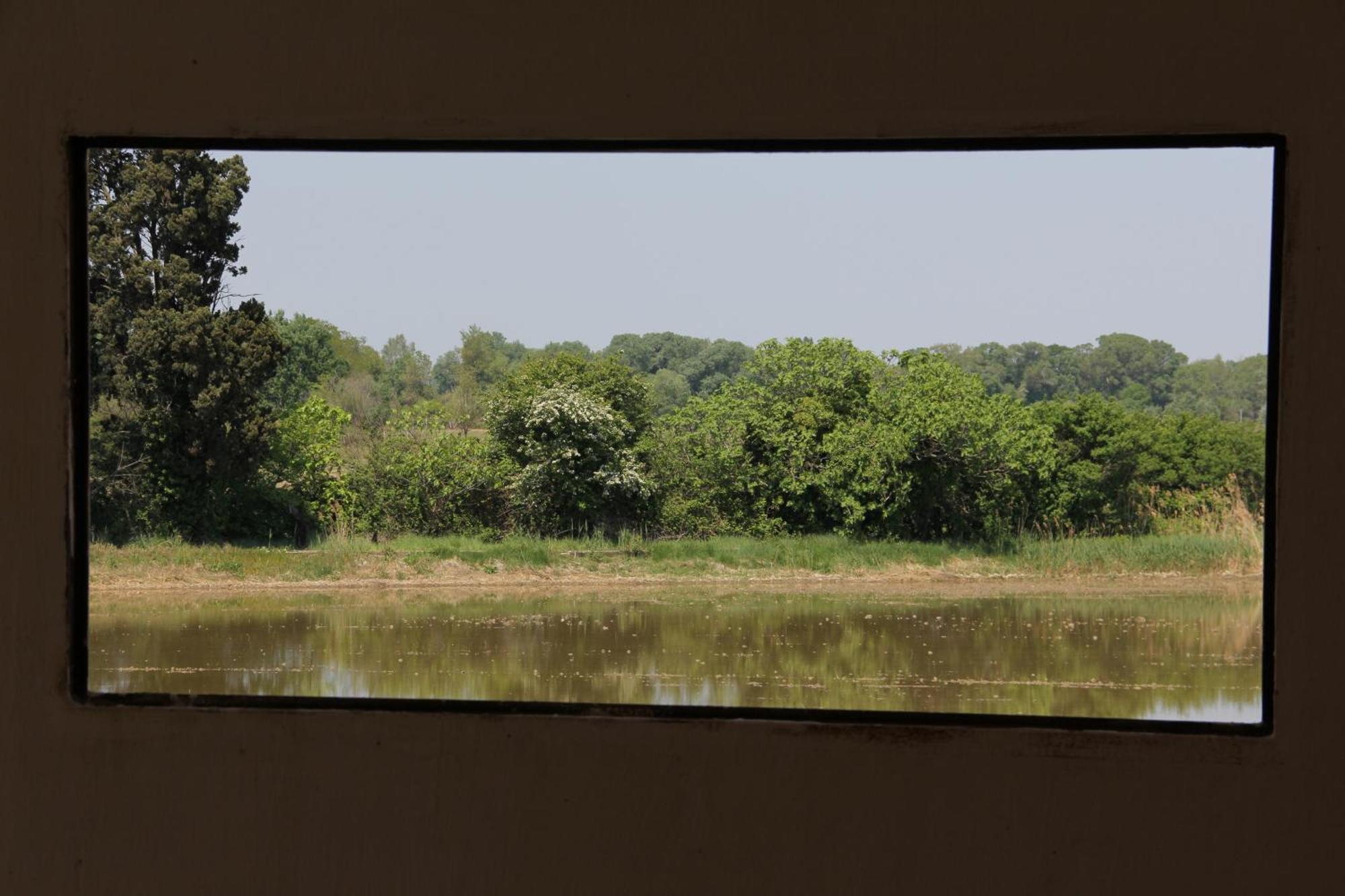 Bed and Breakfast Mas De Bouvet En Camargue Albaron Экстерьер фото