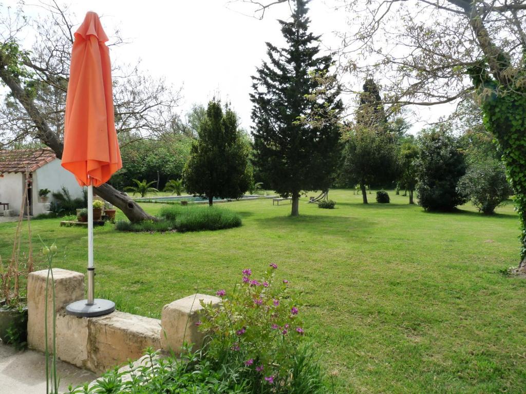 Bed and Breakfast Mas De Bouvet En Camargue Albaron Экстерьер фото