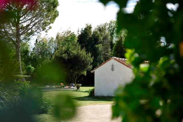 Bed and Breakfast Mas De Bouvet En Camargue Albaron Экстерьер фото