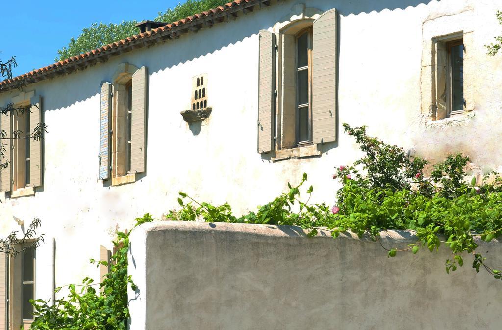Bed and Breakfast Mas De Bouvet En Camargue Albaron Экстерьер фото